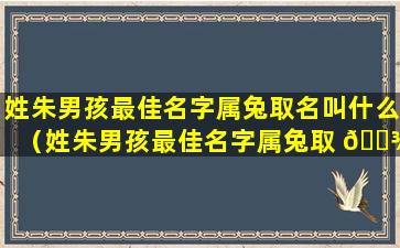 姓朱男孩最佳名字属兔取名叫什么（姓朱男孩最佳名字属兔取 🌾 名叫什么好呢）